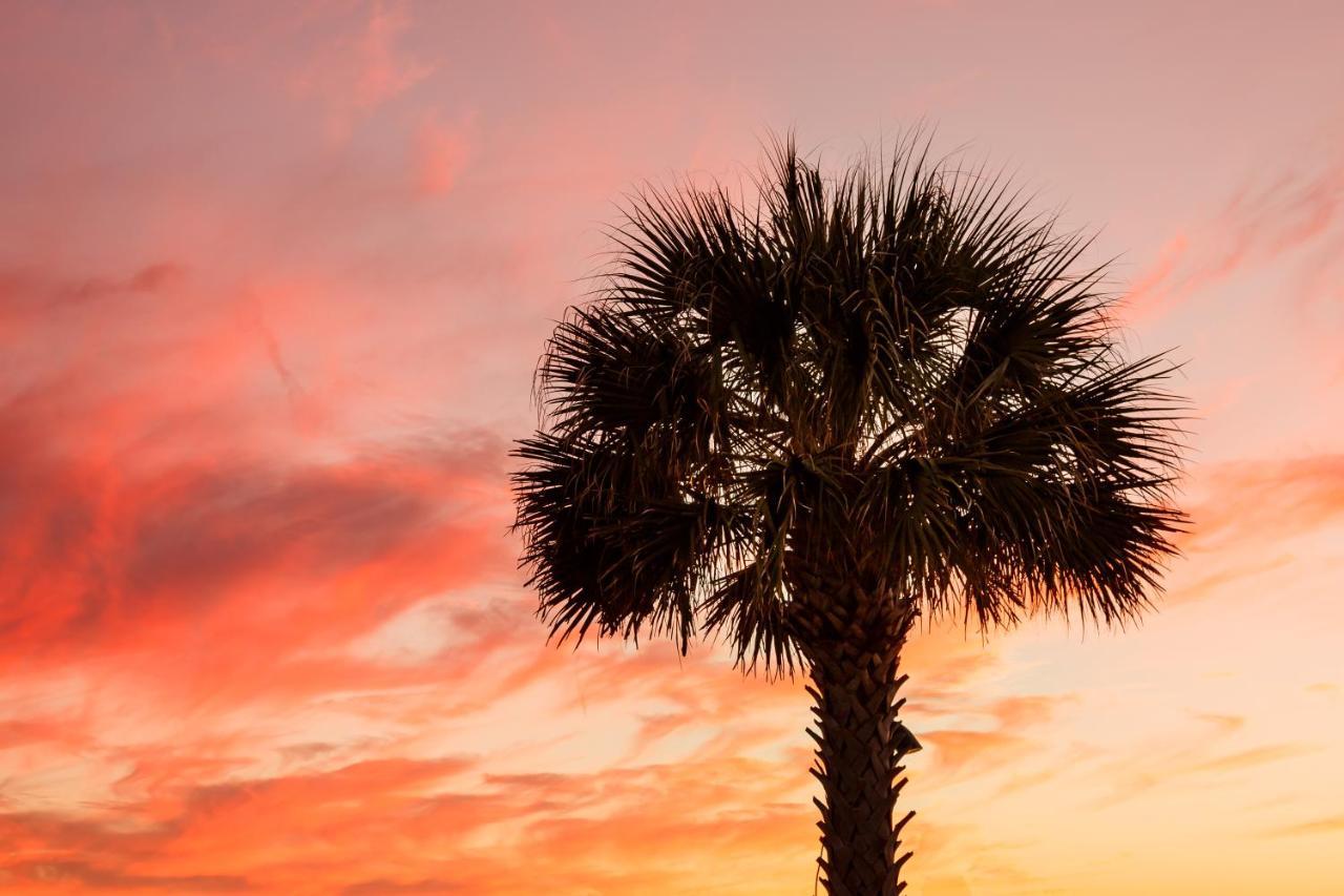 1314 Pelican Watch - Seabrook Island - Beachfront 5 Star Condo - Fido Friendly Exteriér fotografie