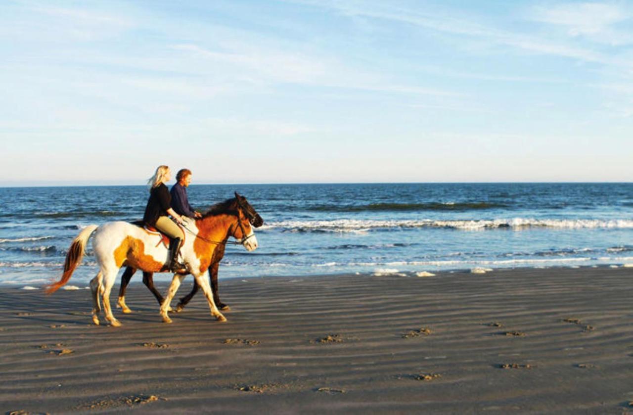1314 Pelican Watch - Seabrook Island - Beachfront 5 Star Condo - Fido Friendly Exteriér fotografie